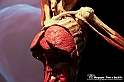 VBS_2894 - Mostra Body Worlds